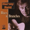 Harvey Reid Blues and Branches.jpg